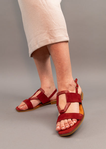 Sandale piele naturala-DAYA 2