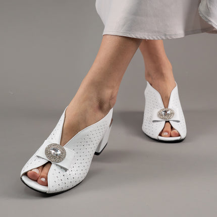 Collection image for: Noutati Cadenzza