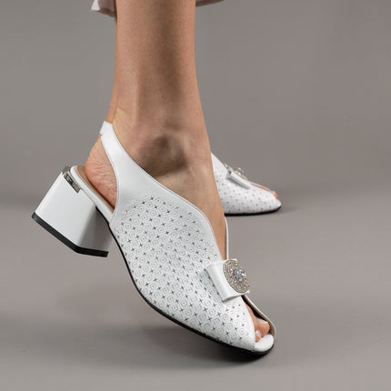 Collection image for: Noutati Cadenzza