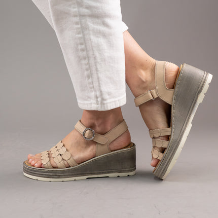 Collection image for: Noutati Cadenzza